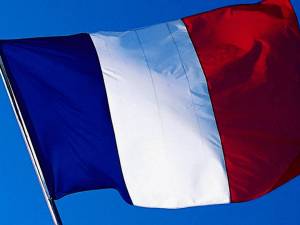 Раскраска флаг франции #18 #541613