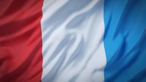 Раскраска флаг франции #19 #541614
