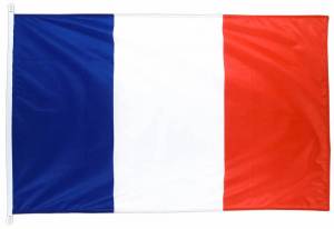 Раскраска флаг франции #20 #541615