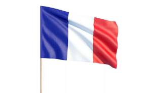 Раскраска флаг франции #21 #541616