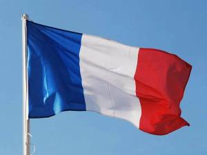 Раскраска флаг франции #22 #541617