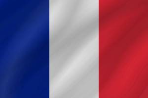 Раскраска флаг франции #24 #541619