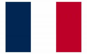 Раскраска флаг франции #25 #541620
