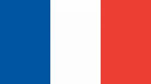 Раскраска флаг франции #27 #541622