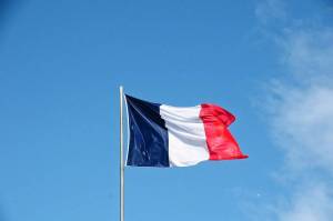 Раскраска флаг франции #28 #541623