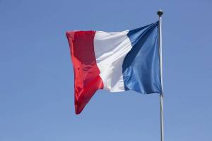 Раскраска флаг франции #29 #541624