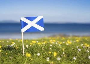 Раскраска флаг шотландии #21 #541645