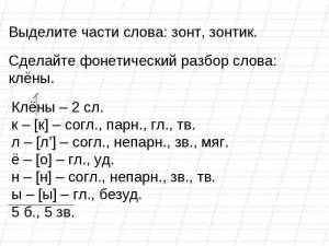 Раскраска фонетический разбор #12 #543129