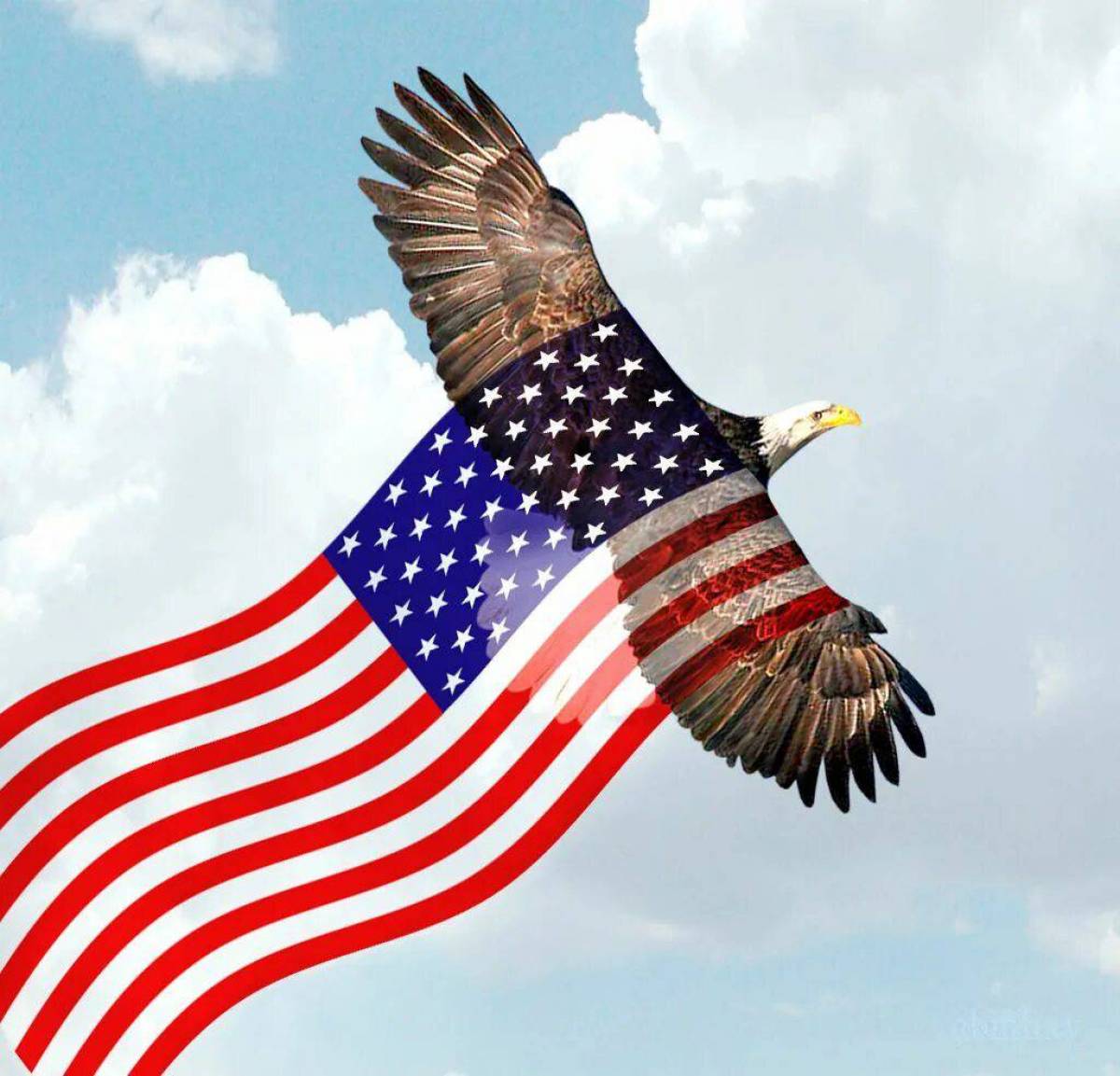 Флаг америки #8