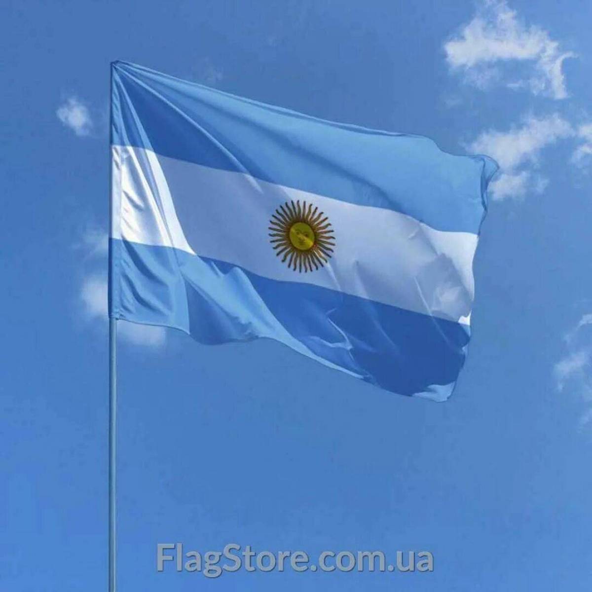 Флаг аргентины #16