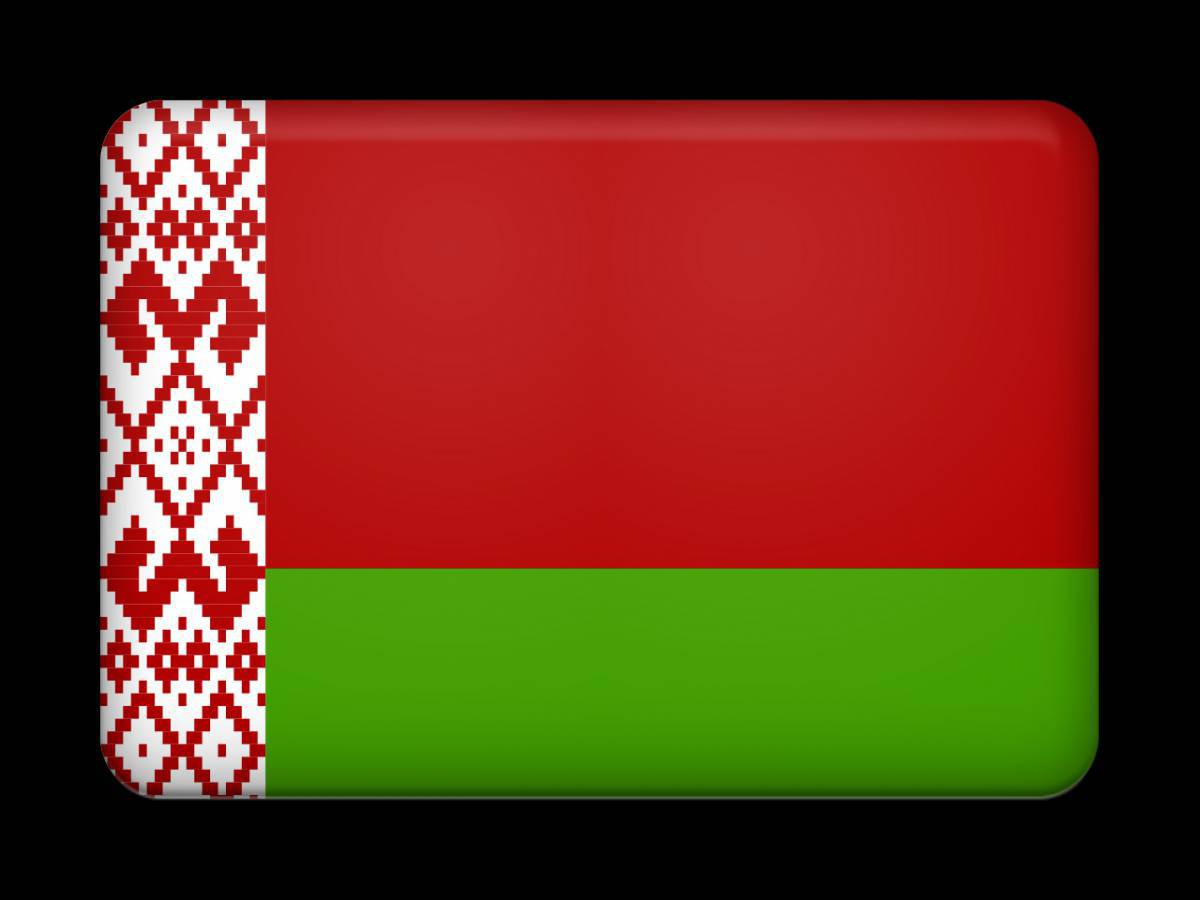 Флаг беларуси для детей #1