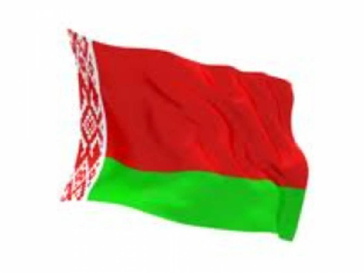 Флаг беларуси для детей #9