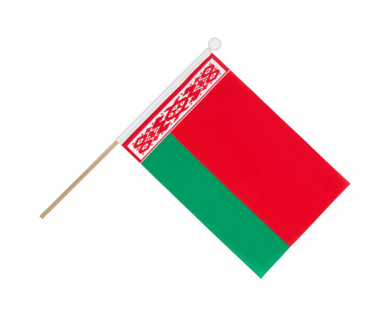 Флаг беларуси для детей #16