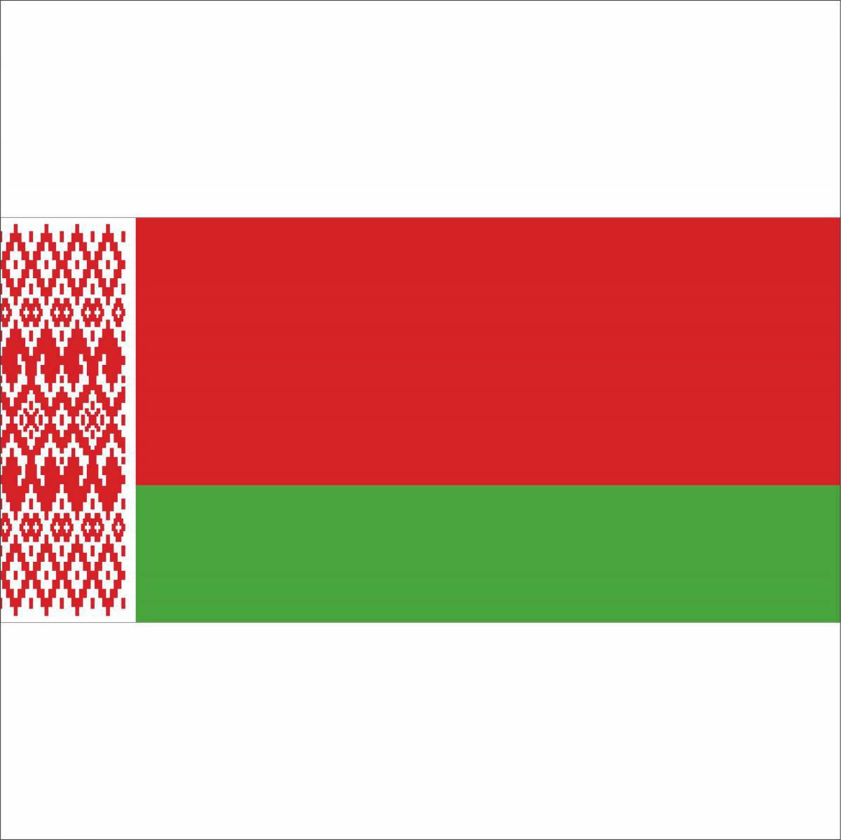 Флаг беларуси для детей #23