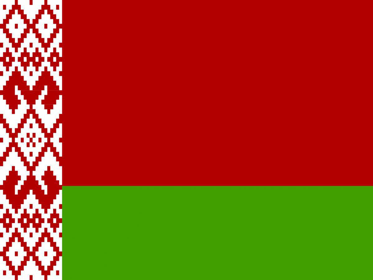 Флаг беларуси для детей #25