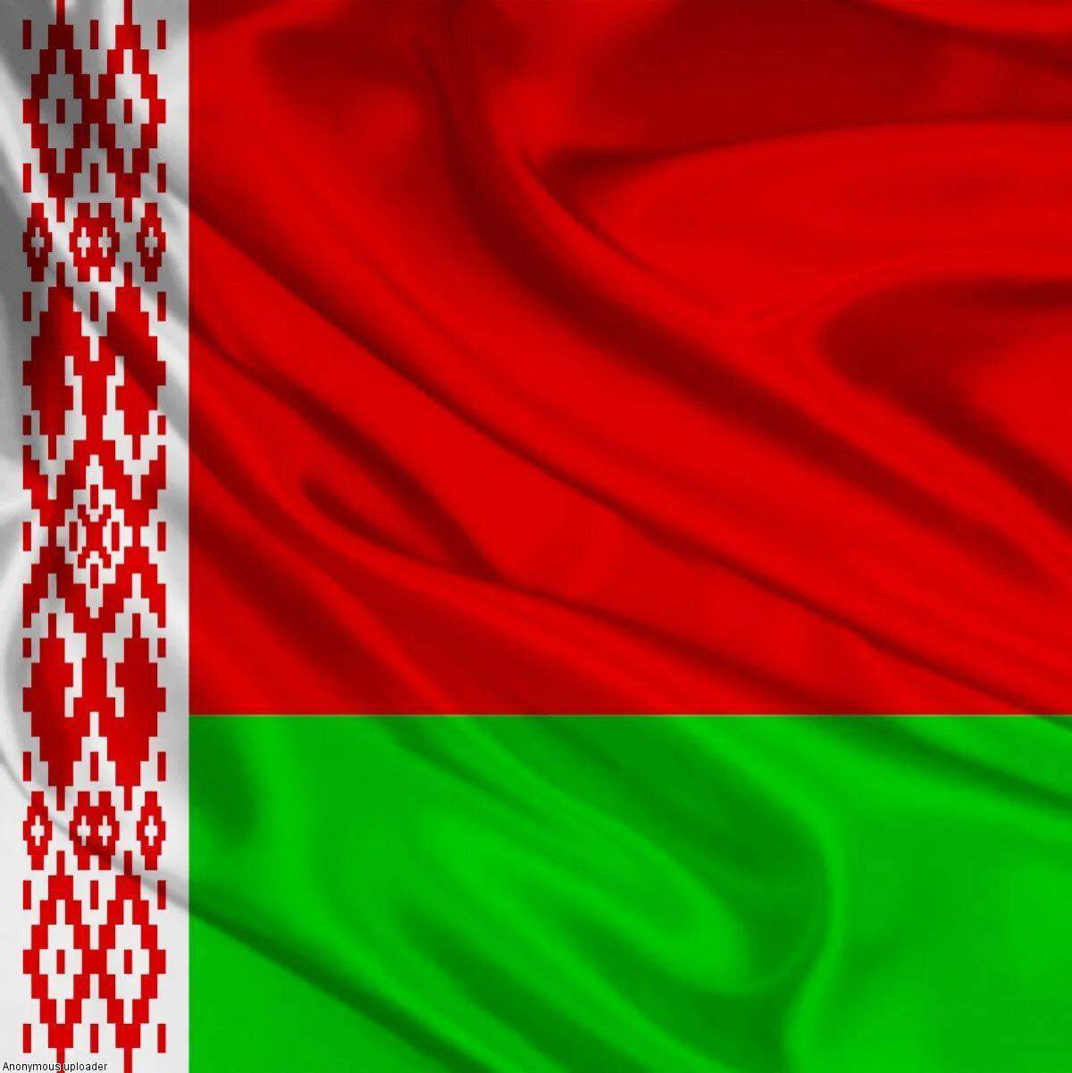 Флаг беларуси для детей #28