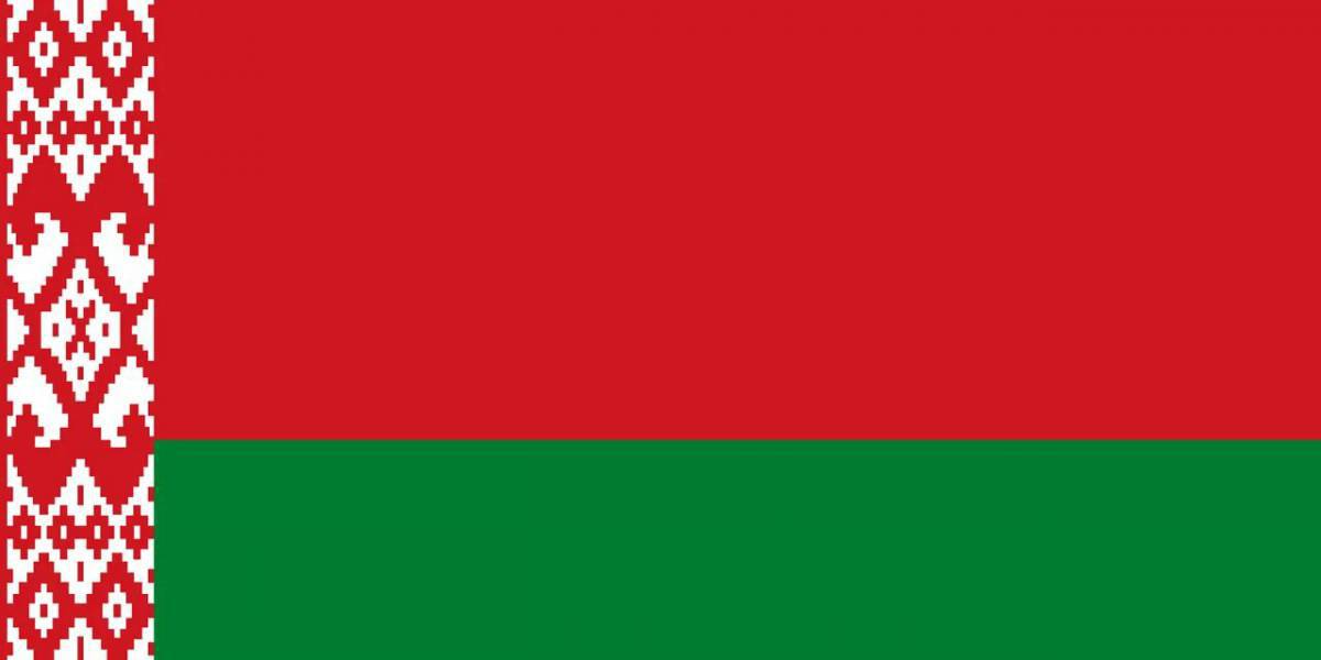 Флаг беларуси для детей #30