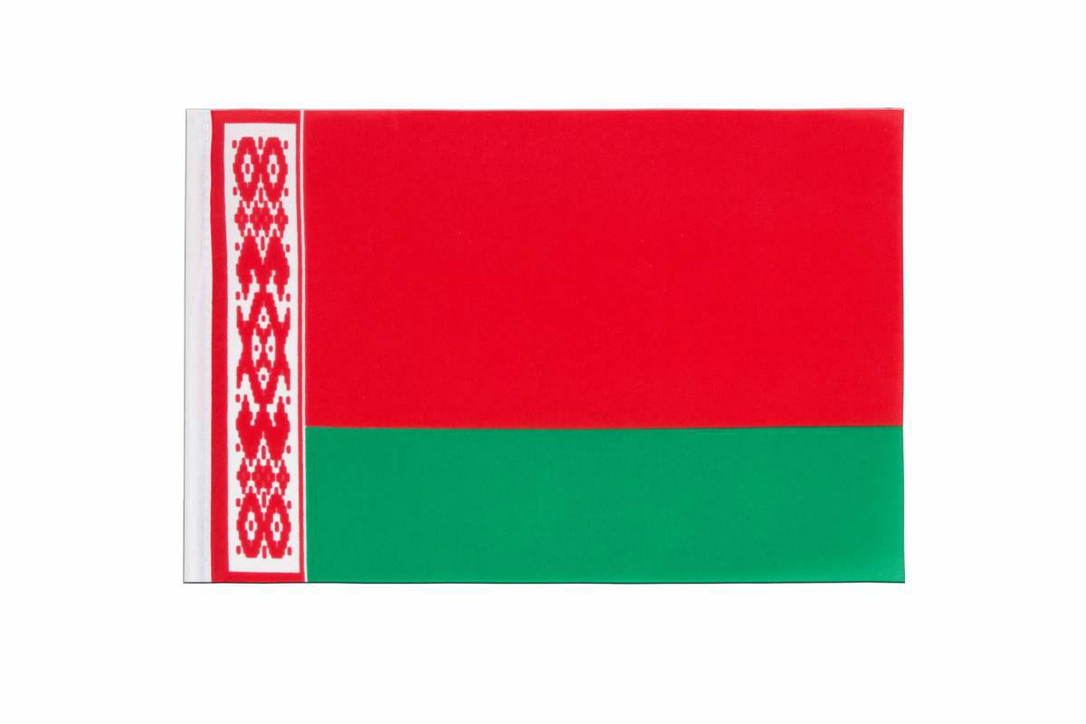 Флаг беларуси для детей #31