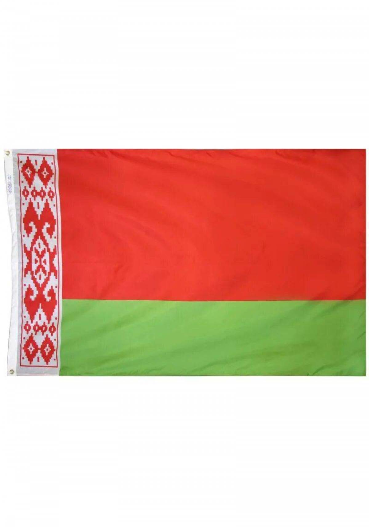 Флаг белоруссии #14
