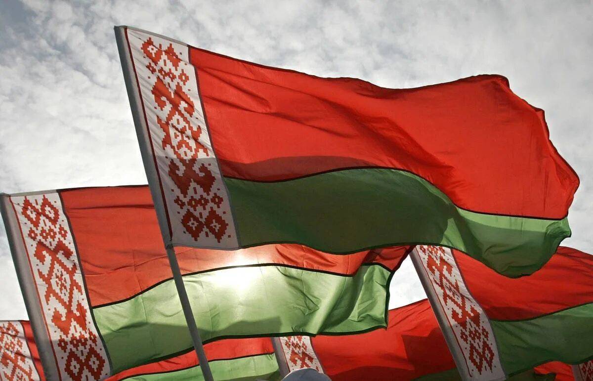 Флаг белоруссии #16