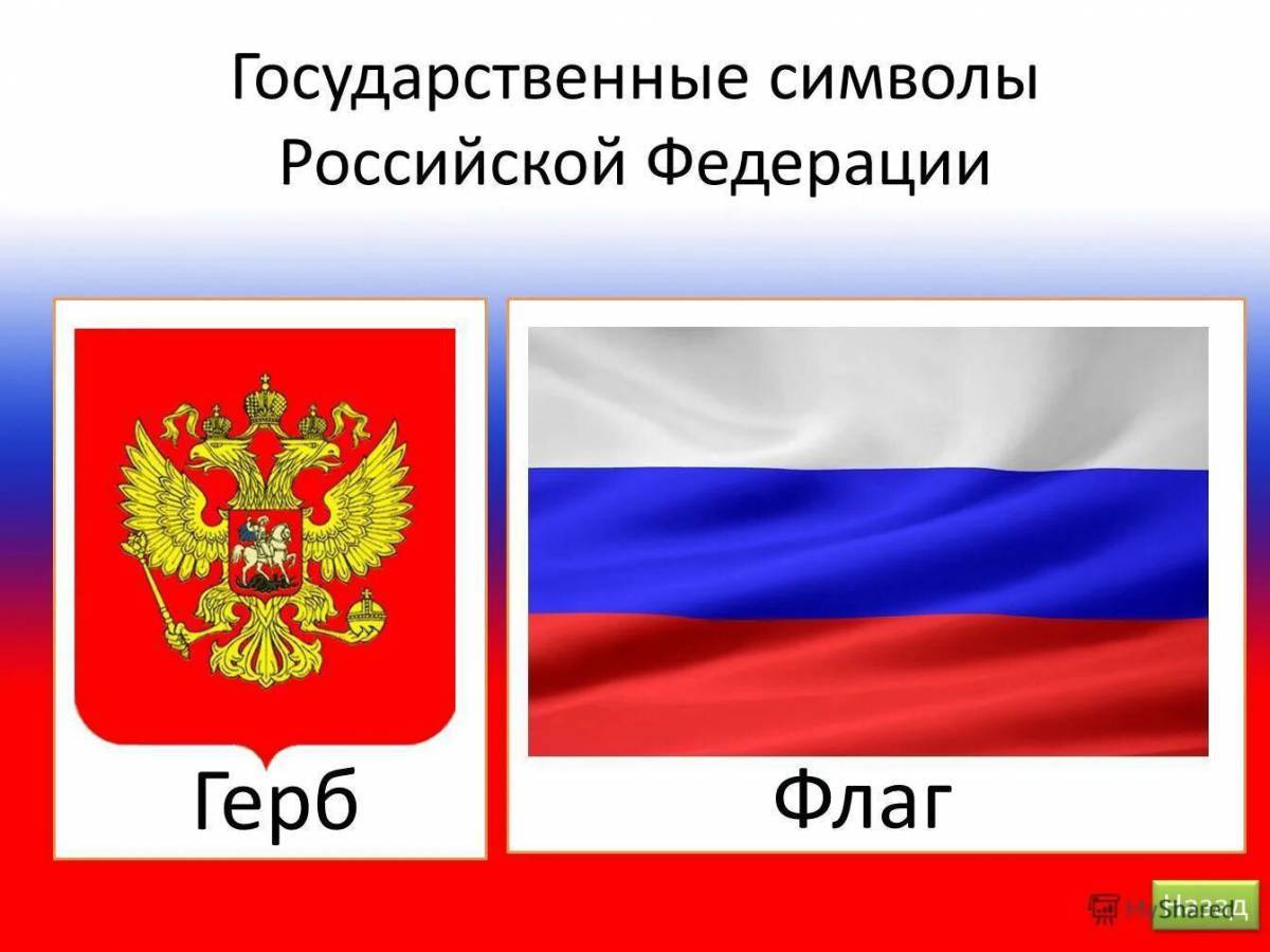 Флаг и герб россии #5