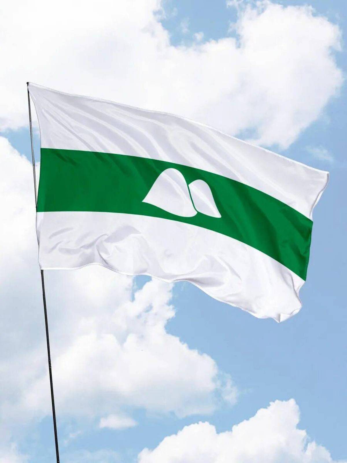 Флаг курганской области #9