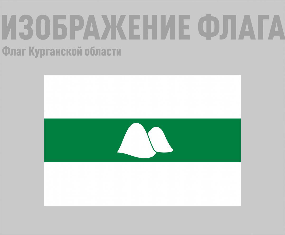 Флаг курганской области #11