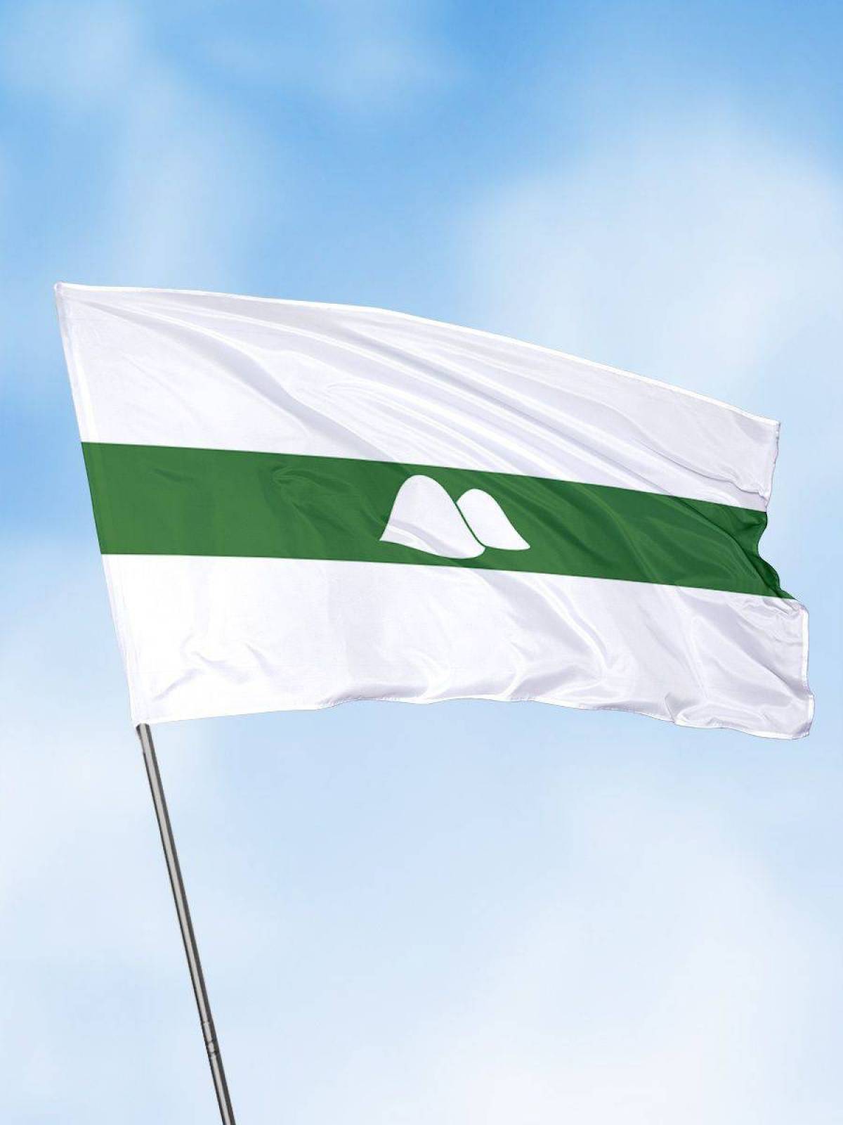 Флаг курганской области #16