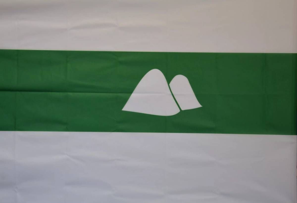Флаг курганской области #20