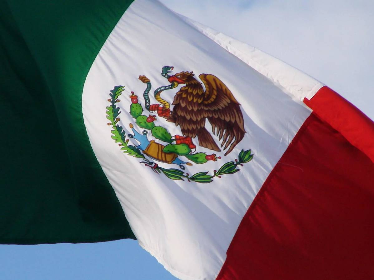 Флаг мексики #30