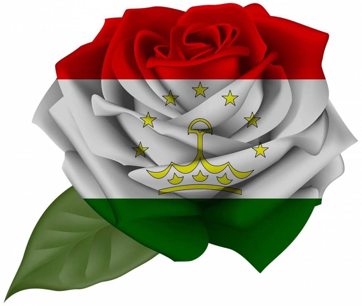 Флаг таджикистана #4