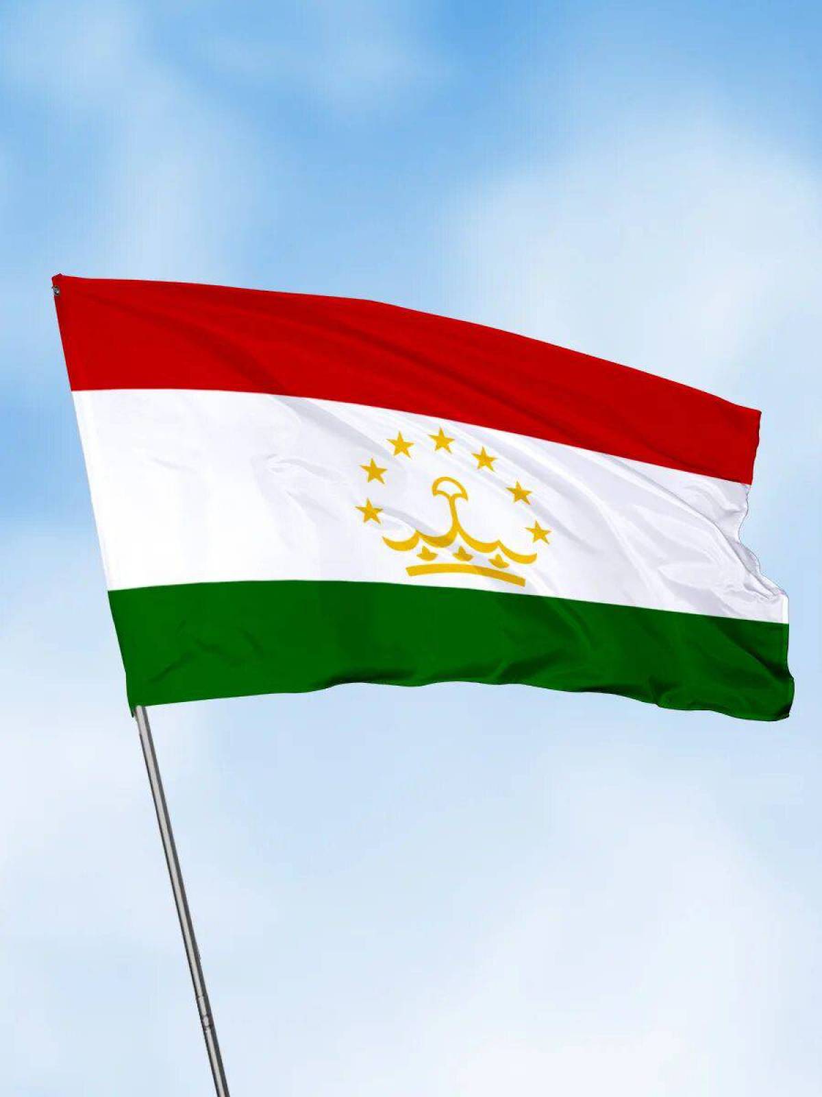 Флаг таджикистана #13