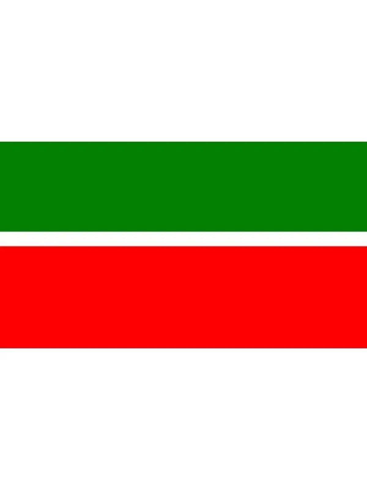 Флаг татарстана #13