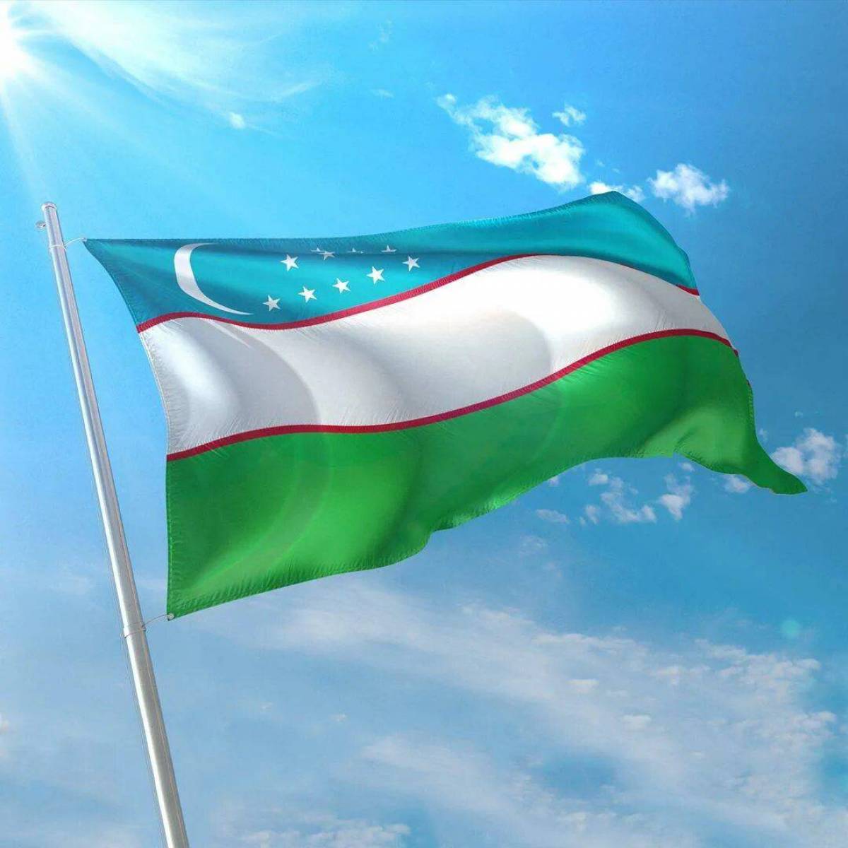 Флаг узбекистана #5