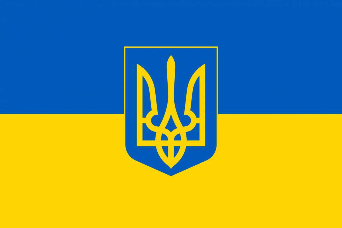 Флаг украины #5