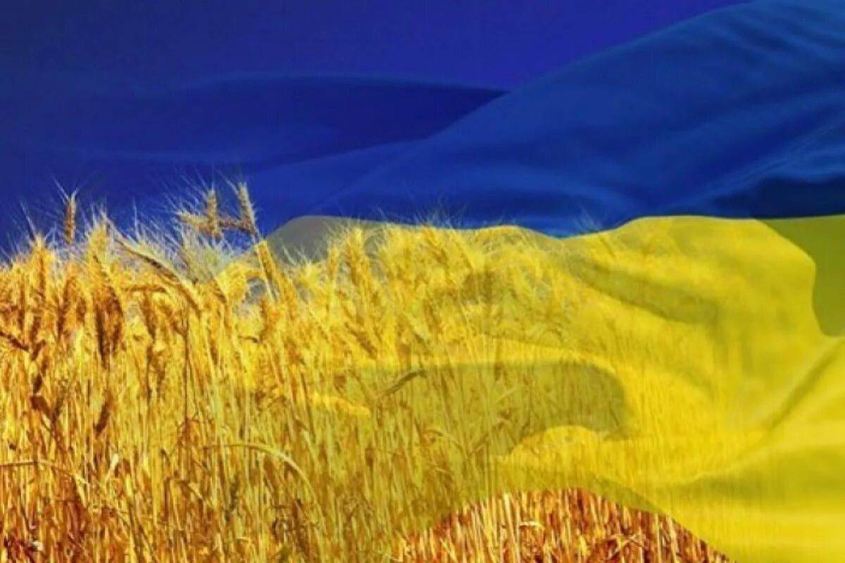 Флаг украины #20