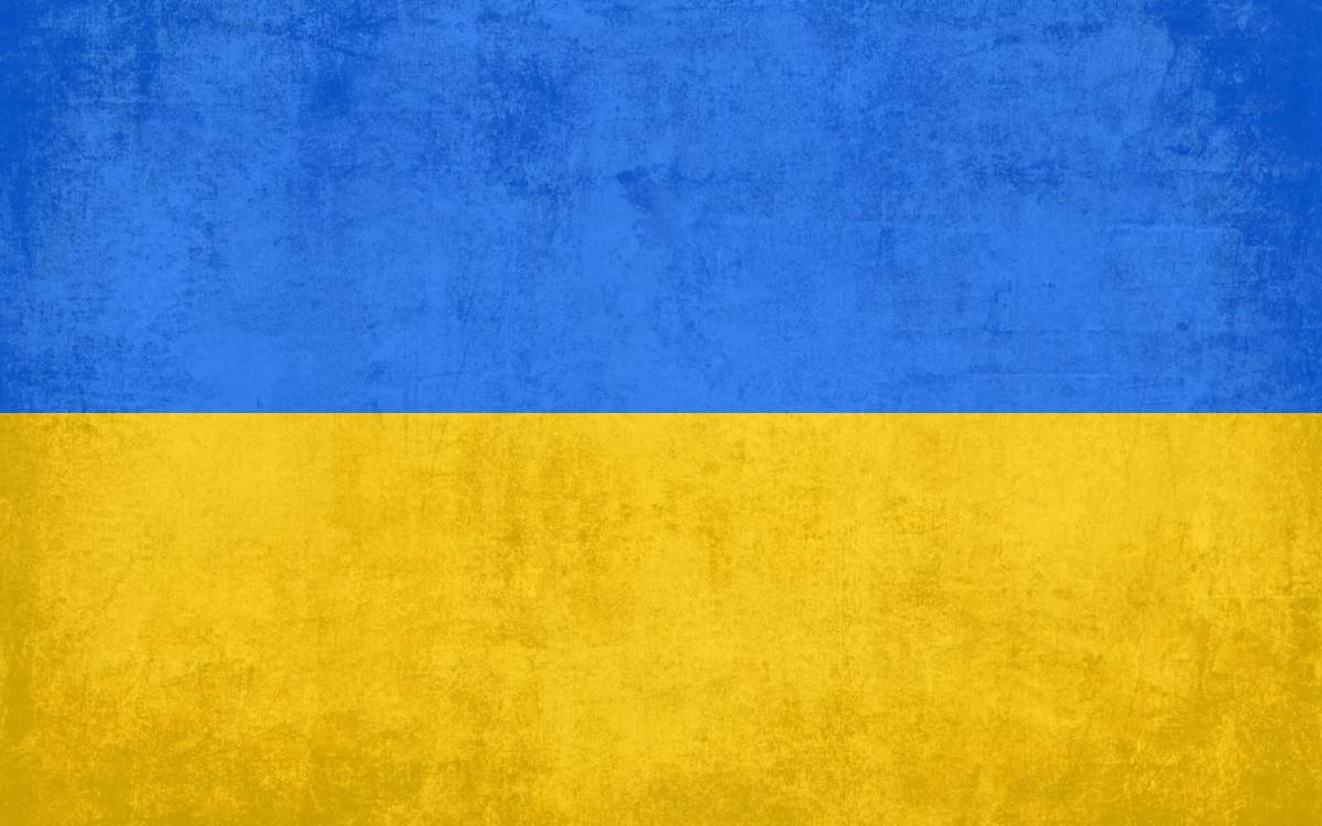 Флаг украины #31
