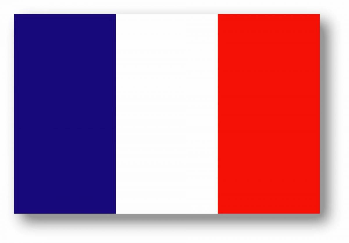 Флаг франции #13