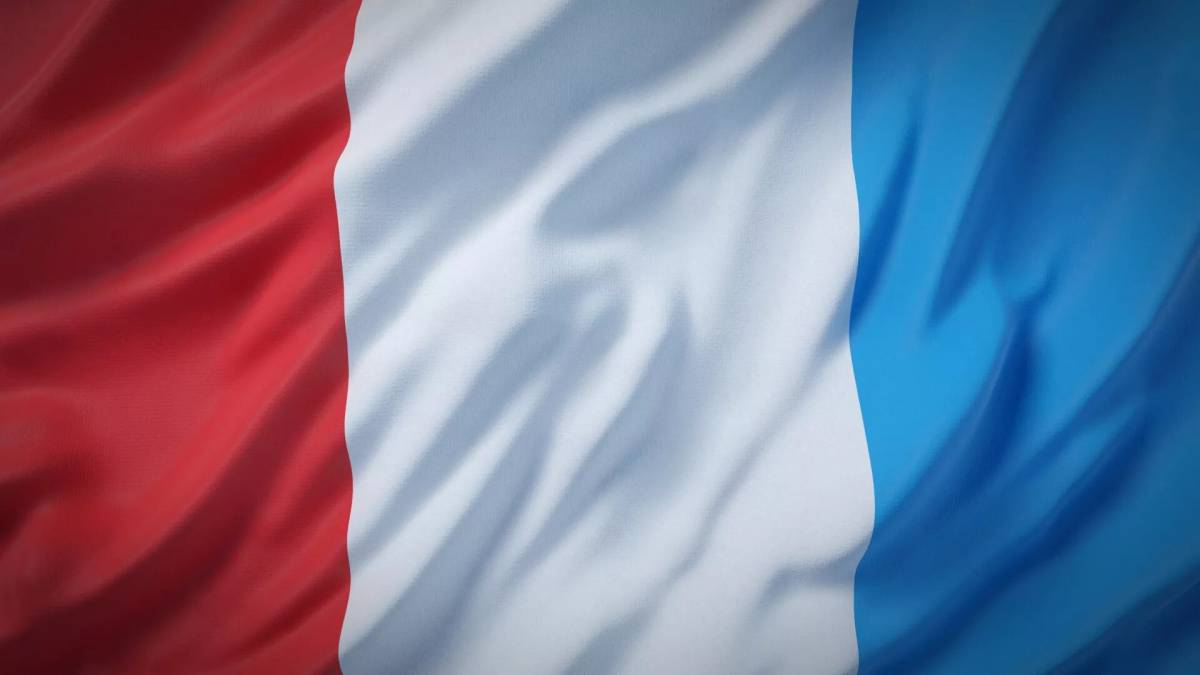 Флаг франции #19