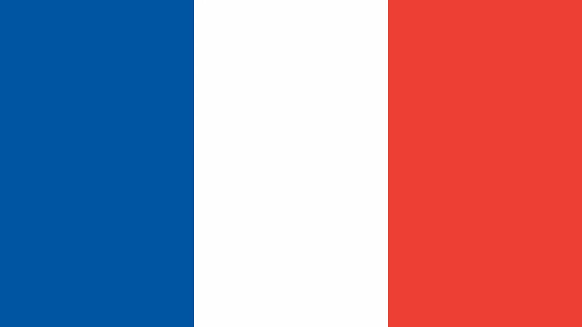 Флаг франции #27
