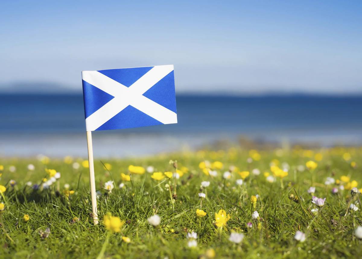 Флаг шотландии #21