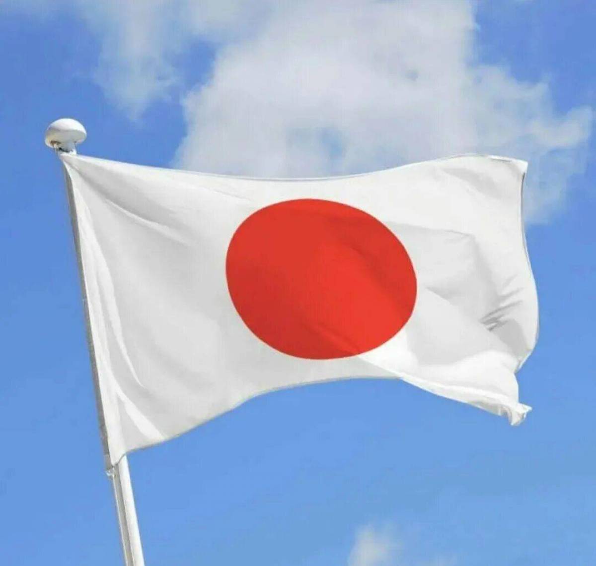 Флаг японии #9