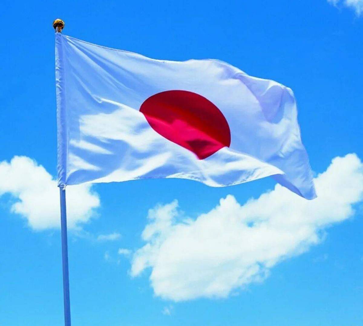 Флаг японии #14