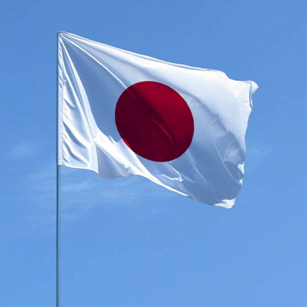 Флаг японии #24