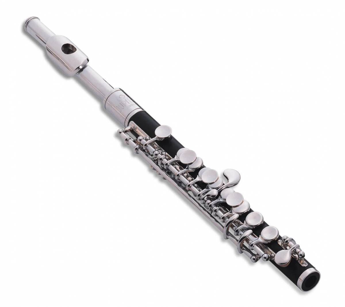 Флейта #2