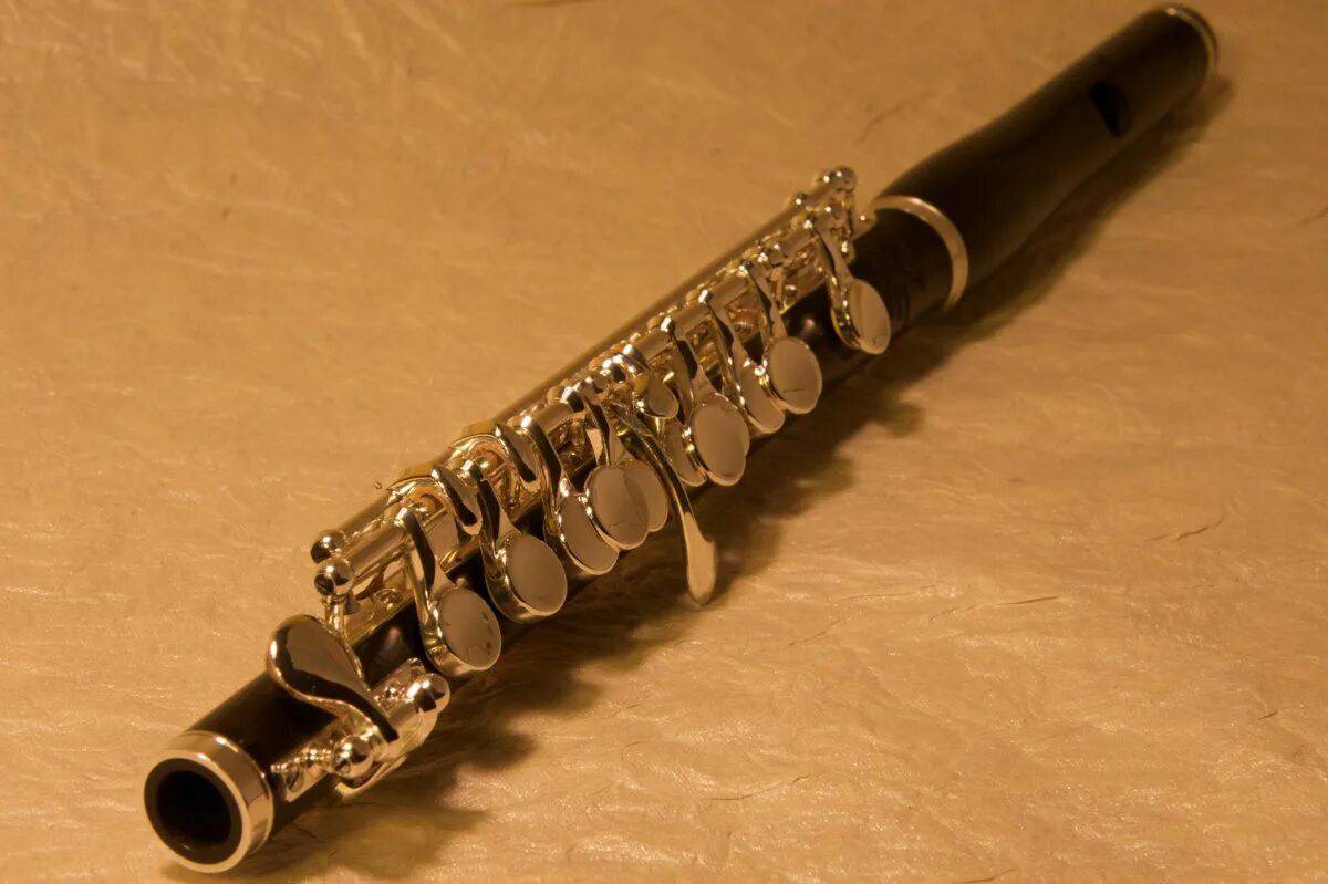 Флейта #20