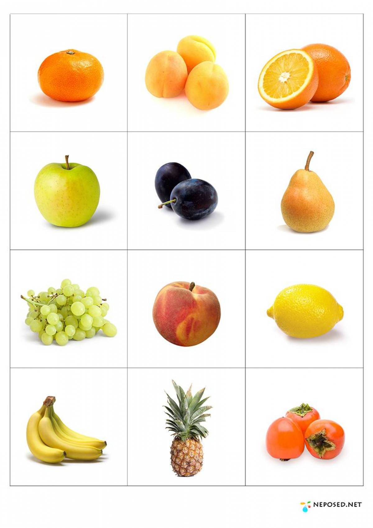 картинки лото фрукты