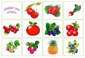 Раскраска фрукты и овощи и ягоды 4 5 лет #35 #544475