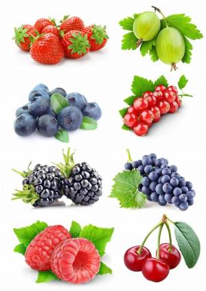 Раскраска фрукты и овощи и ягоды 4 5 лет #38 #544478