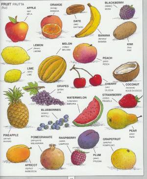 Раскраска фрукты на английском #33 #544541